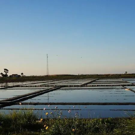 Downtown Shelter - Casa Da Praca * Aveiro