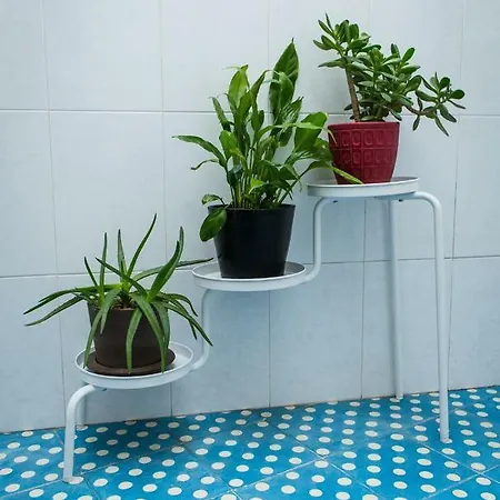 Downtown Shelter - Casa Da Praca