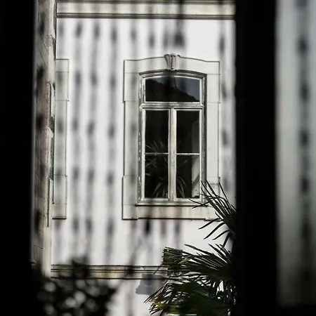 Downtown Shelter - Casa Da Praça Aveiro